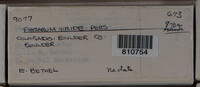 Image Associated With the Occurence